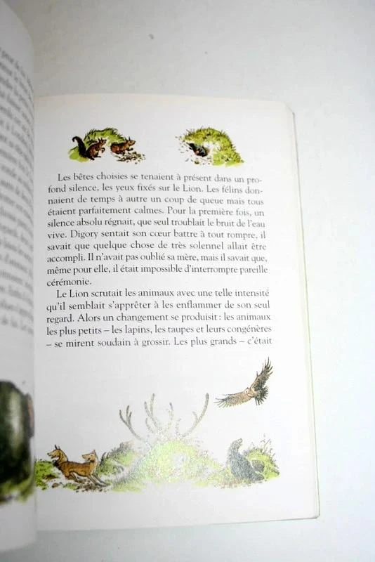 De Wereld van Narnia 1.De Neef van de tovenaar van C.S.Lewis – photo 4